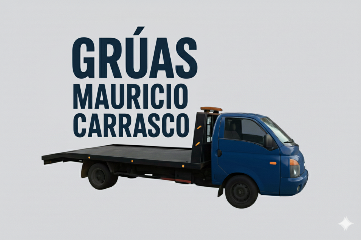 Servicio de grúa profesional
